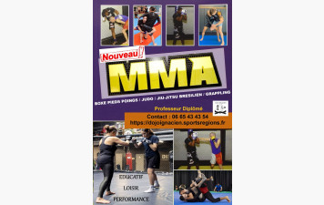 Nouveau Cours MMA (Boxe pieds poings / Judo / Jiu-Jitsu Brésilien / Grappling)