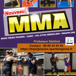 Nouveau Cours MMA (Boxe pieds poings / Judo / Jiu-Jitsu Brésilien / Grappling)
